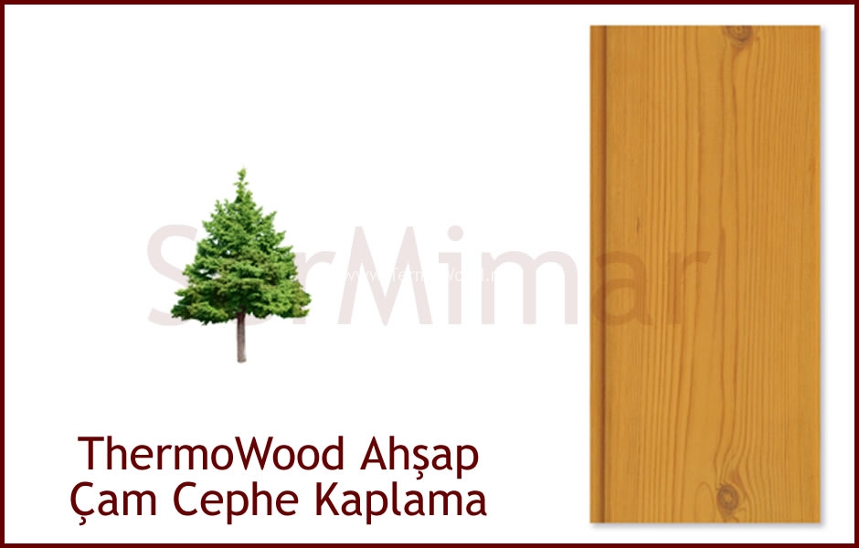 thermowood-ahsap-cephe-kaplama-cam